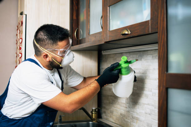 Best Affordable Pest Control Services  in Mount Holly, NC