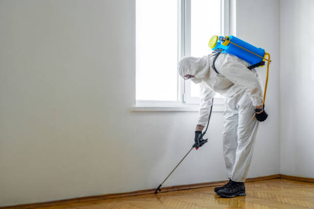 Best Commercial Pest Control Services  in Mount Holly, NC