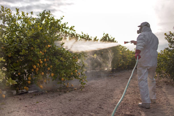 Best Mosquito Control Services  in Mount Holly, NC