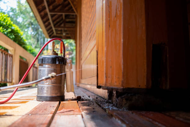 Best Pest Prevention Services  in Mount Holly, NC