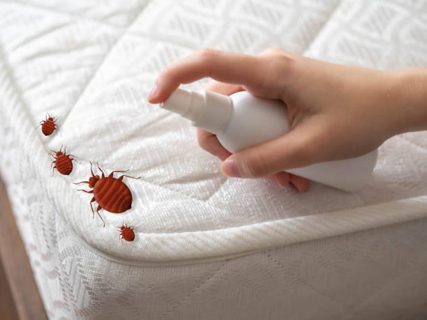 Best Bed Bug Extermination  in Mount Holly, NC